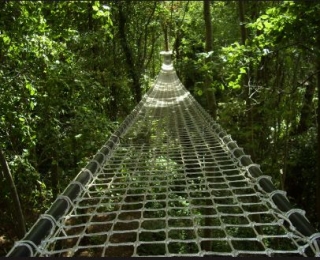 Adelanle para la aventura en la naturaleza 